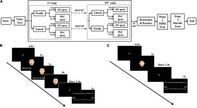 Oxytocin Reduces the Attractiveness of Silver-Tongued Men for Women During Mid-Cycle